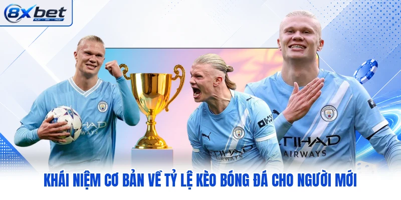 Khái niệm cơ bản về tỷ lệ kèo bóng đá cho người mới